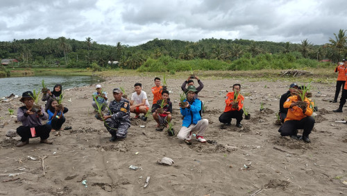 Sigap Tsunami KEGIATAN PENANAMAN PANDAN LAUT 
